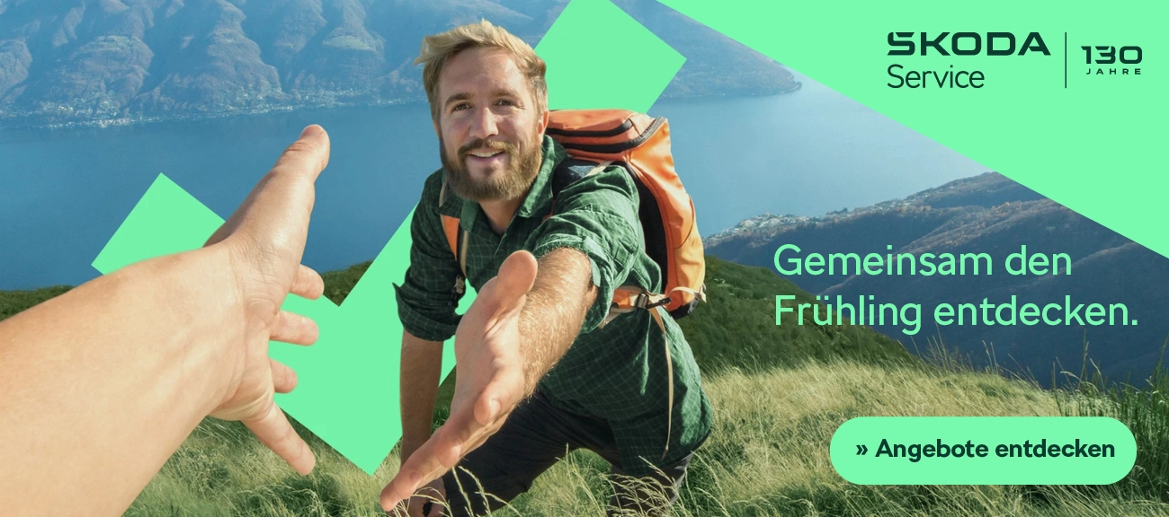 Skoda Frühjahrs-Service