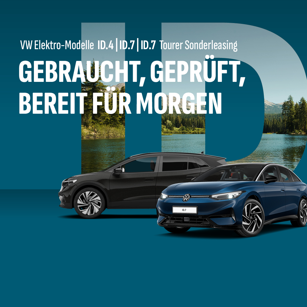 Junge gebrauchte ID.s Junge gebrauchte ID.s